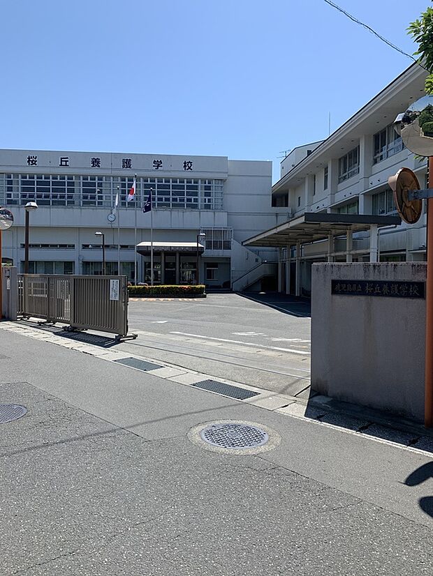 桜丘養護学校(約880m)