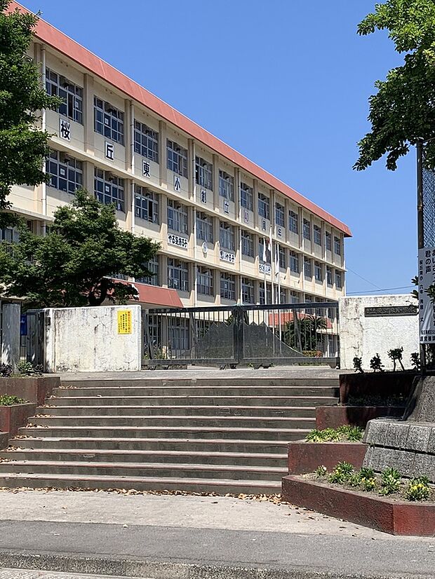 桜丘東小学校(約780m)