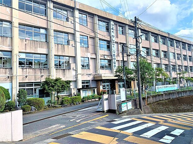 広木小学校(約700m)