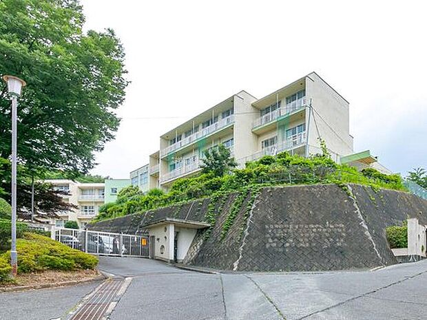 八王子市立小宮小学校（約1,000m）