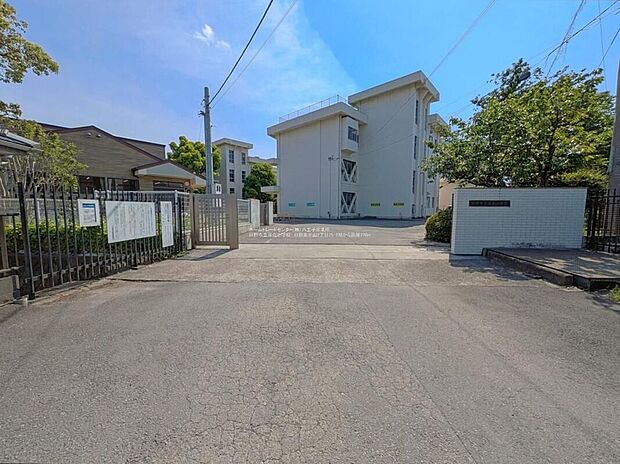 日野市立滝合小学校（約750m）