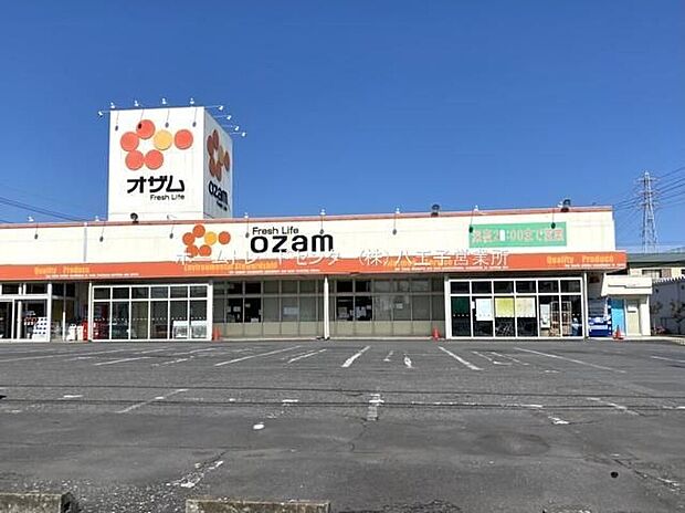 スーパーオザム河辺店(約704m)