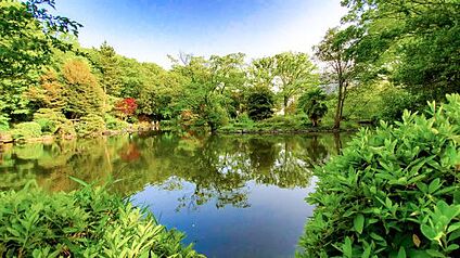 有栖川宮記念公園 徒歩270m