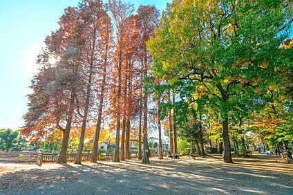 碑文谷公園・碑文谷体育館 徒歩750m