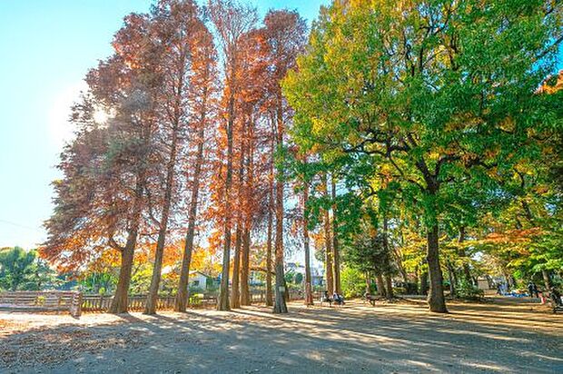 碑文谷公園・碑文谷体育館