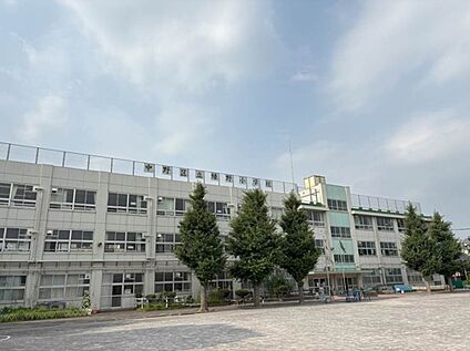 中野区立緑野小学校 700ｍ