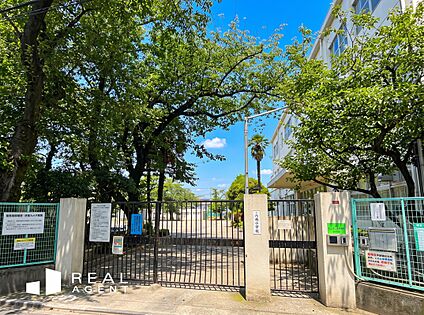 杉並区立八成小学校 484ｍ