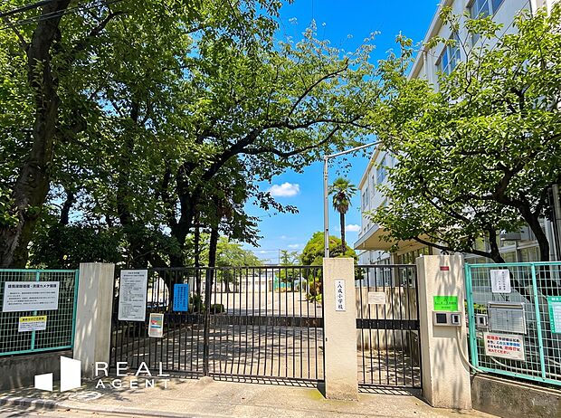 杉並区立八成小学校(約484m)