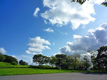 月出松公園 350m(徒歩5分)