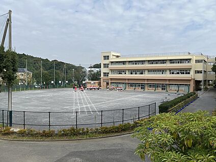 横浜市立都田西小学校 1330m(徒歩17分)