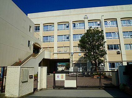 川崎市立西高津中学校 1500ｍ(徒歩19分)