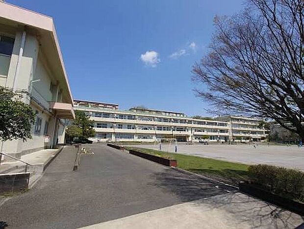 町田市立鶴川中央小学校(約450m)