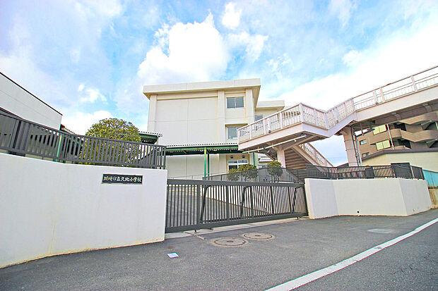 川崎市立久地小学校(約750m)
