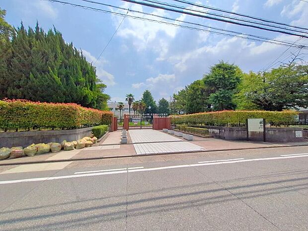 名古屋市立瑞穂ケ丘中学校（約800m）