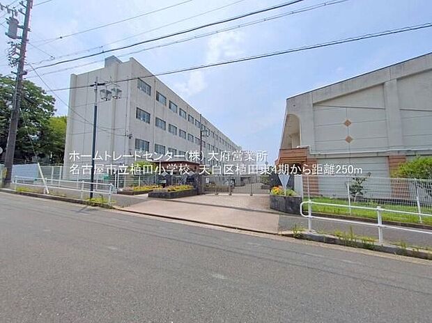 名古屋市立植田小学校（約250m）
