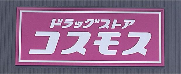 ドラッグストア コスモス伊勢崎高校西店