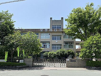 熊本市立白山小学校 240m(徒歩3分)