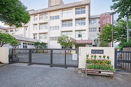 熊本市立出水南小学校 1,040～1,060m(徒歩約13～14分)