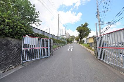 福岡市立花畑中学校 徒歩1506m