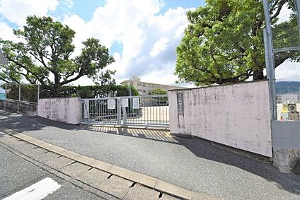 福岡市立鶴田小学校 徒歩547m