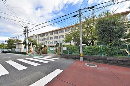 福岡市立東花畑小学校 徒歩742m