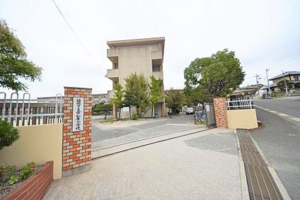 福岡市立舞松原小学校 徒歩209m