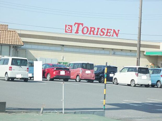 とりせん 藤岡店