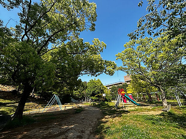 朝日ケ丘公園(約560m)