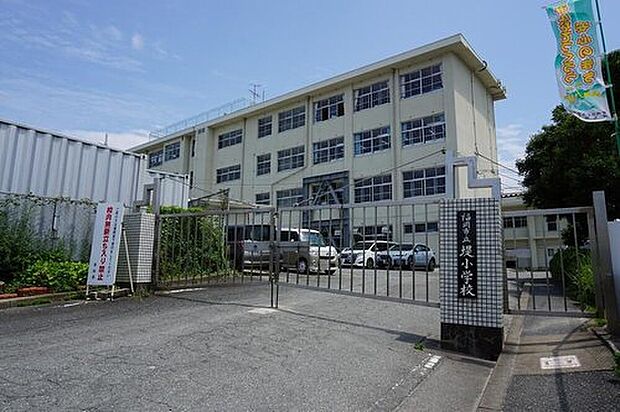福岡市立堤小学校(約769m)