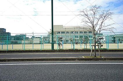 福岡市立玄洋小学校 1112m