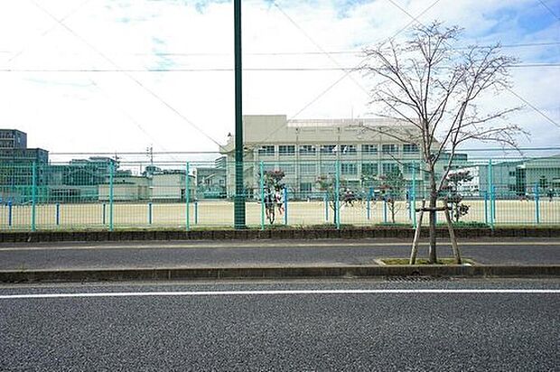 福岡市立玄洋小学校(約1,112m)