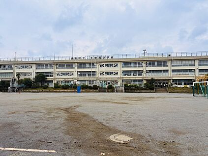 練馬区立大泉西小学校 800m(徒歩10分)