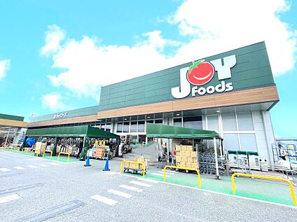 ジョイフーズ　関宿次木店 1100m