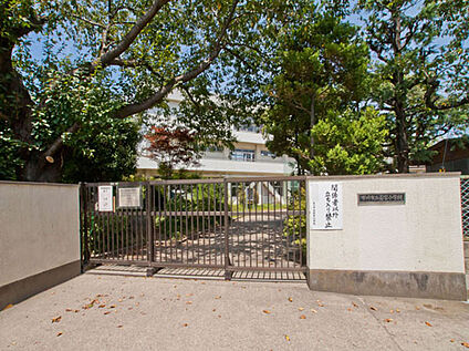 若宮小学校 500m