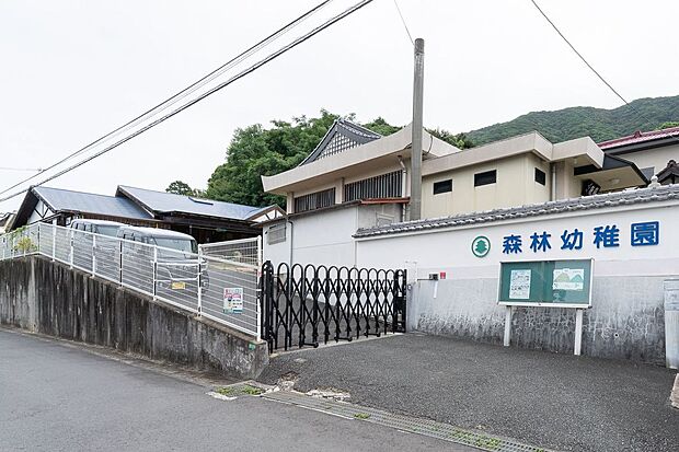 森林幼稚園(約370m)
