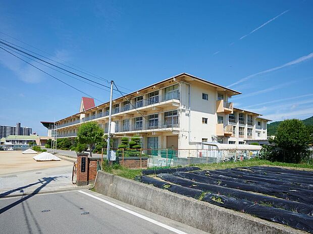 岩出市立山崎北小学校(約1m)