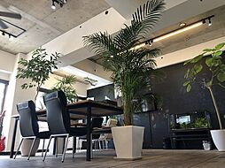 沖縄不動産フィールド株式会社