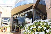 スタッフ