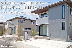 奈良県橿原市新口町141番8他