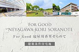 大阪府寝屋川市国松町460-2他(底地)