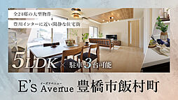 愛知県豊橋市飯村町字西山7-680他