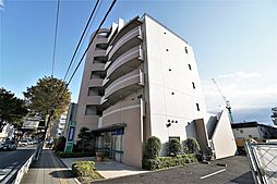 ルピナス