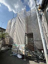 クリザンテーム　山本II