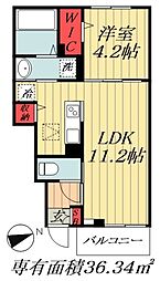 グレイス ヒルズ 1階/-