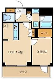 ピアース中野坂上 地下1階1LDKの間取り