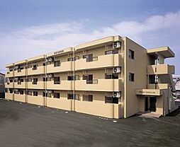 ライスガーデン