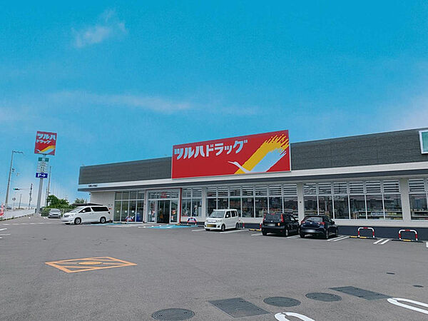 画像29:ツルハドラッグ和歌山中島店 652m