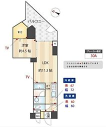 ZOOM練馬高野台 1LDKの間取図画像