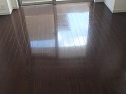 ドルチェ東京押上ツインズ壱番館 5階1Kのリビング/ダイニング