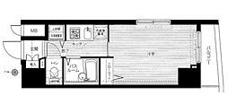 トーシンフェニックス武蔵関 1Kの間取図画像